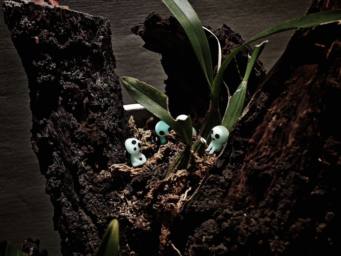 Kodamas entre las plantas del tronco a la luz del día