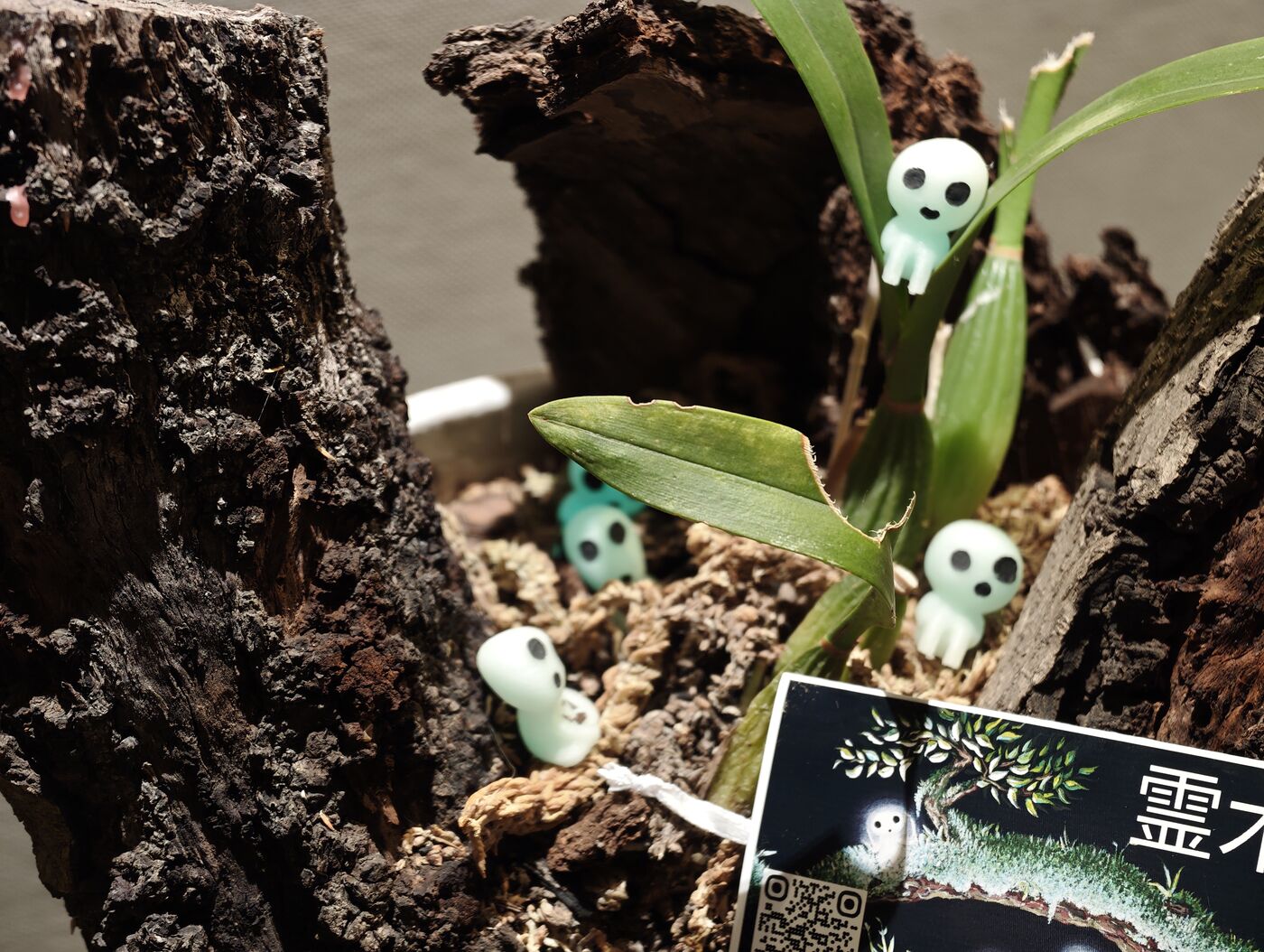 Kodamas en el tronco entre las orquídeas a la luz del día